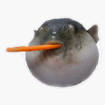 The Pufferfish Fan Club!