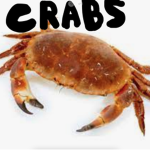 Crab Cove