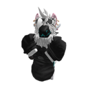 Ragdoll Internal Inc.