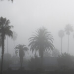 ˖ ˚ ⋅* ۶ৎ ༘*˖