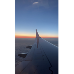 Tʀᴏᴘɪᴄᴀʟ Aʀᴍʏ
