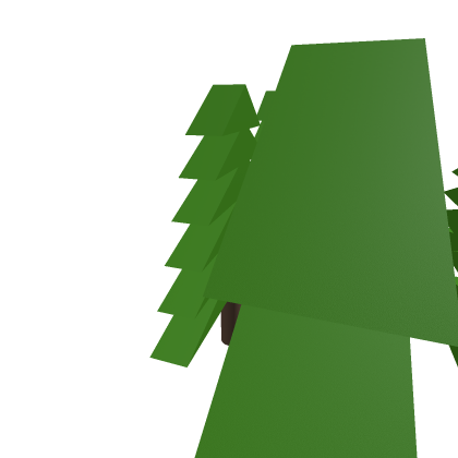 Pine tree forest
