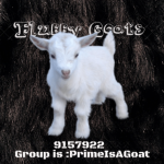 PrimeIsAGoat