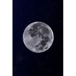 HOILDAYS!