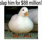 [ Content Deleted 428934 ]