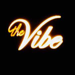 The Roblox Vibe
