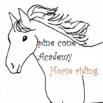 The Riders Of Pine Cone Hill Academy.