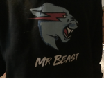 Mrbeast fan group and mrbro