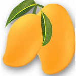 FRUITY PRODUCTION