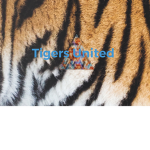 Tigers United!!