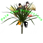 Game Tree Productions