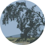 xandq