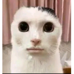 richmanlol