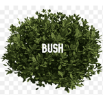 Bushtopia