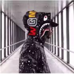 Bape shark FAN group