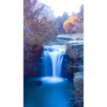 Arianna01