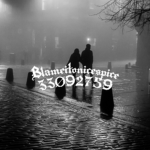 Blameitonicespice