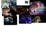 wolf assassins gang