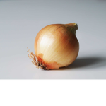 Crispyonion