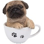Pug-a-chino