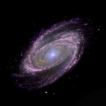 adorique ⋆