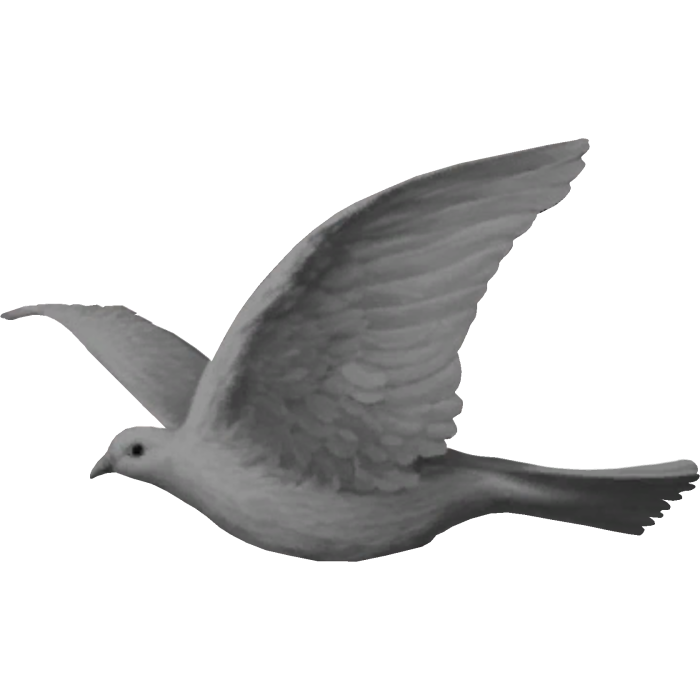 Dove