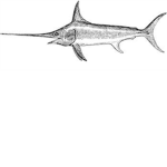 Swordfish®