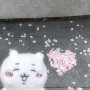 🌸