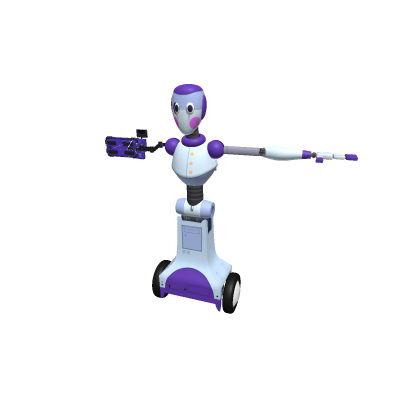 party bot ragdoll