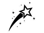 SHOOTING STARS DANCE CO