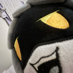 🌕
