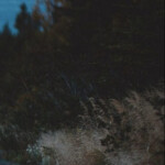 ・
