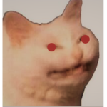 Sussy Catter
