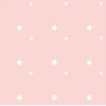 The Strawberry Piggies
