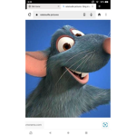 Your man ratatouille