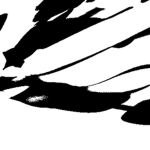 Society of rebirth