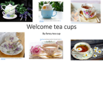 Fancyteacupgang