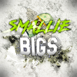 Smallie Bigs