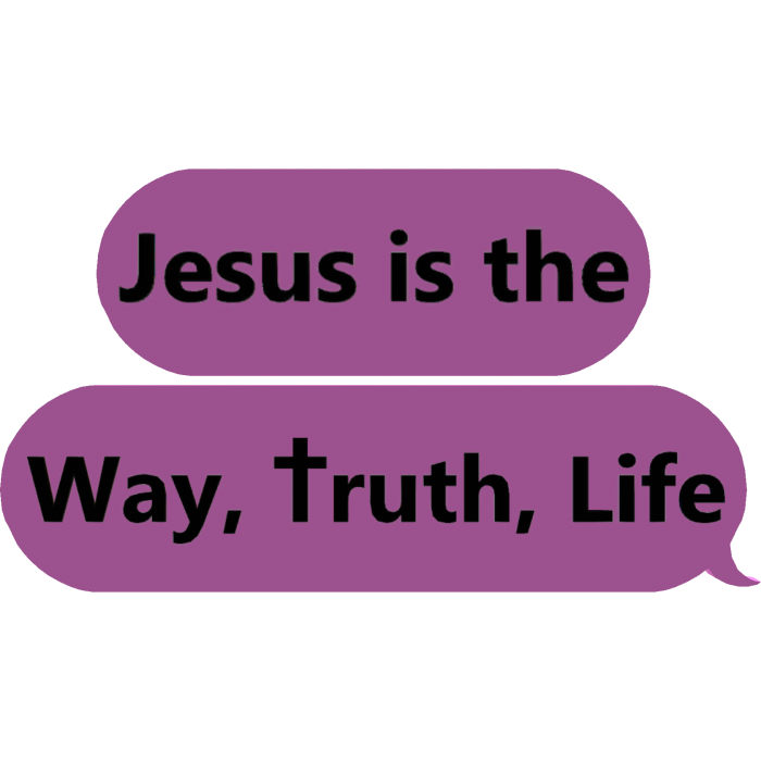Jesus Is The Way Truth Life Text Bubble Pink