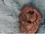 tiny rock squad