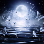 The Moonlight Girls