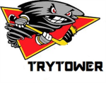 TryTower Fan's