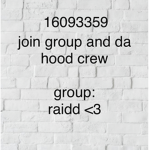 raidd <3