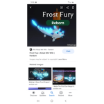 Frost fury group