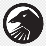 shadows eagle