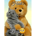 Heidi's bear