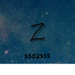 ZeyroX Community.