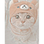 Unicorn giveaway robux