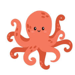 Octopus Experience