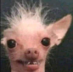 Hi guys welcome back boys
